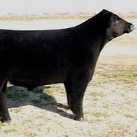 Profile Picture of Cody Wick (@cody-wick-4) on Quora