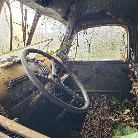 Profile Picture of Lynn Eggink (@lynnandandy) on Poshmark