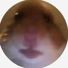 Profile Picture of George Greg (@@georgefreg) on Tiktok