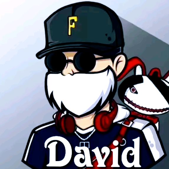 Profile Picture of @DAVID (@david_free_fire07) on Tiktok