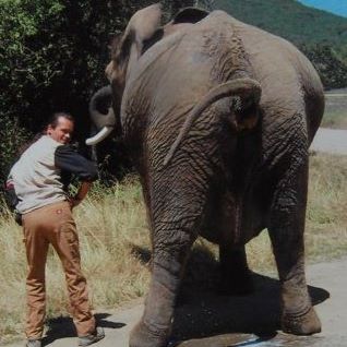 Profile Picture of Josef Werner (@josef.werner.52) on Facebook