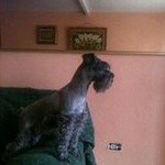 Profile Picture of Cesar de los Santos (@cesar.delossantos.39) on Instagram