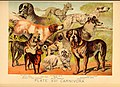 Profile Picture of List of dog breeds - Wikipediaon Wikipedia