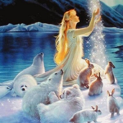 Profile Picture of Heidi Keefer (@forever222) on Twitter