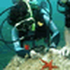 Profile Picture of Ivan Villarreal (@Aquademia de Buceo / Hermosillo, Son. M?xico) on Flickr