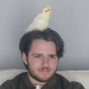 Profile Picture of Morgan Forrest (@morganforrest8532) on Youtube