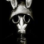 Profile Picture of Pete Mullins (@poison_rabbit_88) on Instagram
