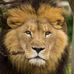 Profile Picture of Rick Pearson (Rick Pearson) (@rick.pearson.50) on Facebook