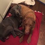 Profile Picture of Rocky+hobbs (@rockyy087) on Instagram