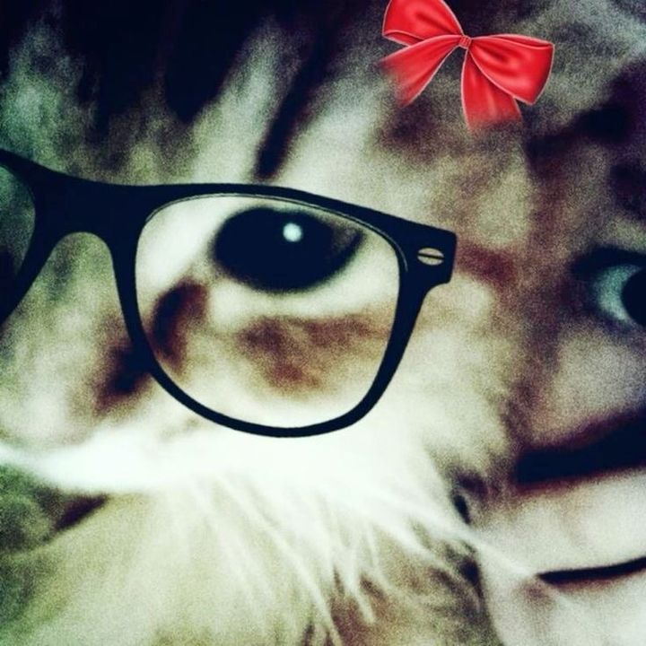 Profile Picture of _yukichi (@_yukichiii) on Tiktok