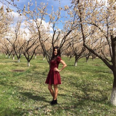 Profile Picture of Ani Mikayelyan (@MikayelyanAni1) on Twitter