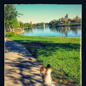 Wolleson Profile - Youtube Profile Picture of Wolleson Profile (@wollesonprofile8307) on Youtube