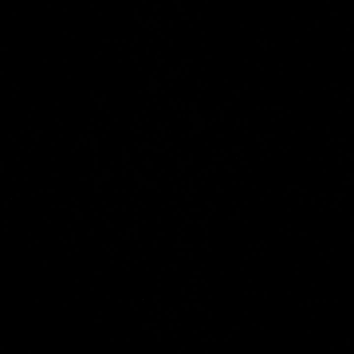 Alexis Liakopoulos - Tiktok Profile Picture of Alexis Liakopoulos (@alexisliakopoulos7) on Tiktok