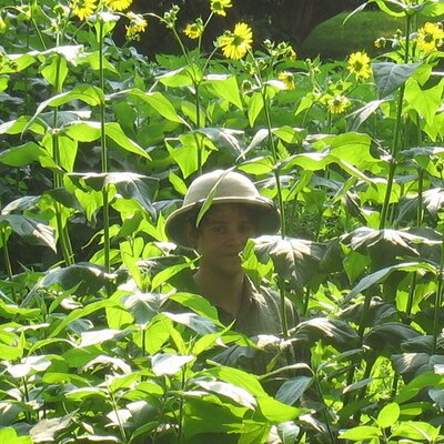 Profile Picture of Peter Hedman (@peterhedman) on Twitter