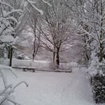 Profile Picture of paula schmith (@istapaula) on Instagram