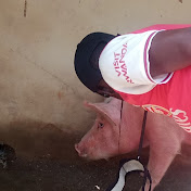 Profile Picture of James Bobby (@JamesBobby-Agro-Vet) on Youtube