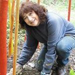 Profile Picture of Lorna Green (@green_lorna) on Instagram