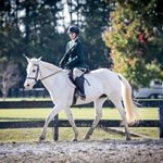 ℒᎯUℛℰℒ ℳℐᏦᎯᎽℒℐℕ ℋᎯℒℒℳᎯℕ - Instagram Profile Picture of ℒᎯUℛℰℒ ℳℐᏦᎯᎽℒℐℕ ℋᎯℒℒℳᎯℕ (@laurelhallman) on Instagram