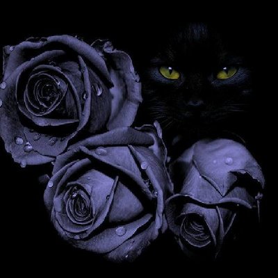 Jessica Fulghum - Twitter Profile Picture of Jessica Fulghum (@lildippersmiles) on Twitter