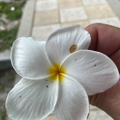 Profile Picture of Vicki Gregory Blount (@morefunthanu) on Twitter