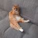 Profile Picture of Esther Villarreal (@tey57) on Pinterest