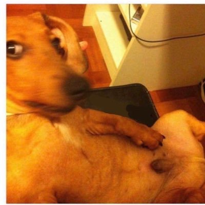 Profile Picture of U (@jo_tafoya) on Twitter