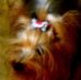 Profile Picture of Fritz Moore (@fritz.moore.71) on Facebook
