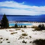 Profile Picture of Amy Schaap (@schaap.amy) on Instagram