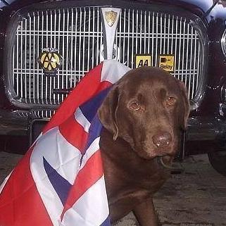 Profile Picture of Glenn Reeve (@MrSillTrims) on Twitter