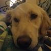 Profile Picture of james fryman (@@jamescroft665) on Tiktok