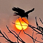 Profile Picture of Michael Dyer (@Michelley1) on Youtube