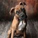 Profile Picture of Kiki Kirvan (@kikiboo04) on Pinterest