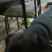 Profile Picture of Howard Randolph (@howardrandolph540) on Youtube