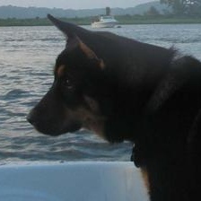 Profile Picture of Gregory Wong (@138258953) on Myspace