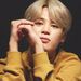 Profile Picture of Xin Tong (@guoxin000) on Pinterest