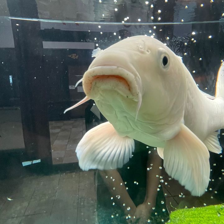 Profile Picture of john (@yonduz) on Tiktok