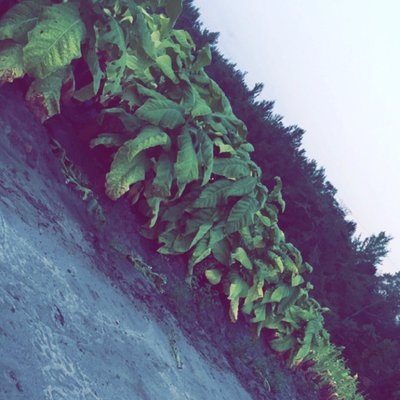 Profile Picture of Chad Coleman Morrow (@chadmorrow10) on Twitter