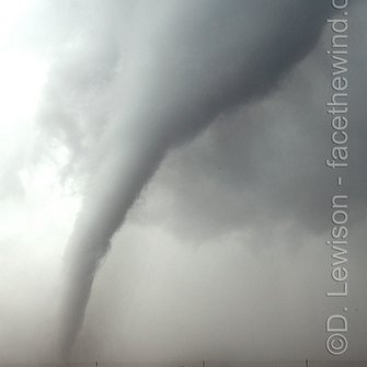 Profile Picture of Dave Lewison (@facethewind_com) on Twitter