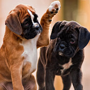 Profile Picture of Travis Cushman (@traviscushman8346) on Youtube