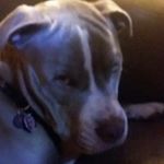 Profile Picture of Jacob Patterson (@jpatty0711) on Instagram