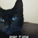 Profile Picture of James Redden Bush (@jettajim) on Instagram