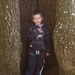 Brady Chapman - Instagram Profile Picture of Brady Chapman (@brady_chapman2008) on Instagram