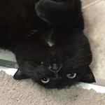 Profile Picture of Jeff McCullough (@jeff.mccullough.59) on Instagram