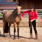 Profile Picture of Theresa & Manolito (@bavarianhorses_) on Instagram