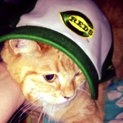 Profile Picture of Casey LaRue (@Casey_LaRue_cat) on Twitter