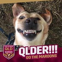 Profile Picture of Amanda Warne (@amanda-warne-1) on Quora