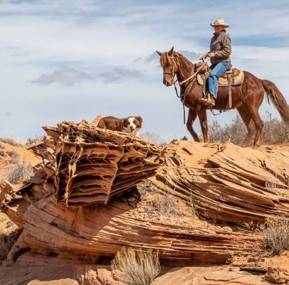 Profile Picture of Jeretta Aldridge (@grammya) on Poshmark