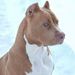 Profile Picture of Pedro Lozano Fabela (@frankloxxano) on Pinterest