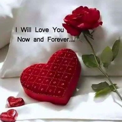 Profile Picture of Joe Burns (@JoeBurn12085167) on Twitter