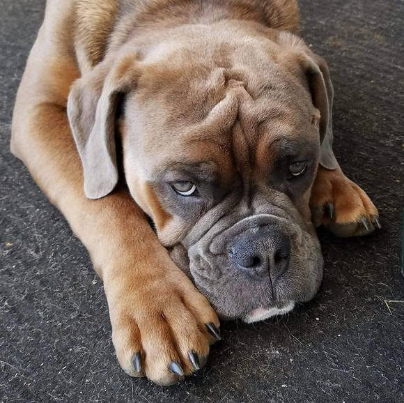 Profile Picture of Veronica Bagienski (@vbagienski1969) on Poshmark